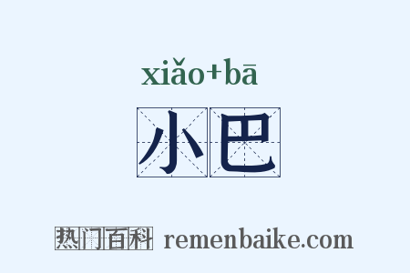 小巴是什么意思的图片